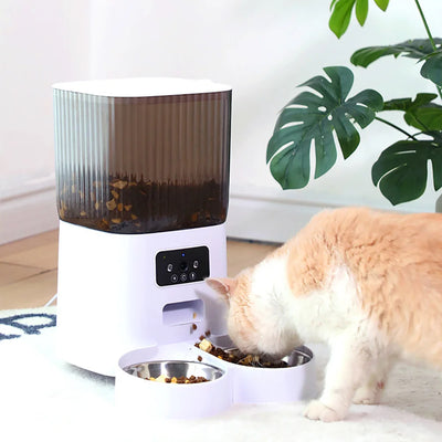 Smart Dog Food Dispenser