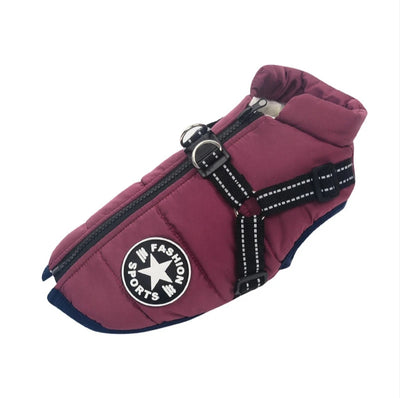 Pet Dog Jacket for Winter