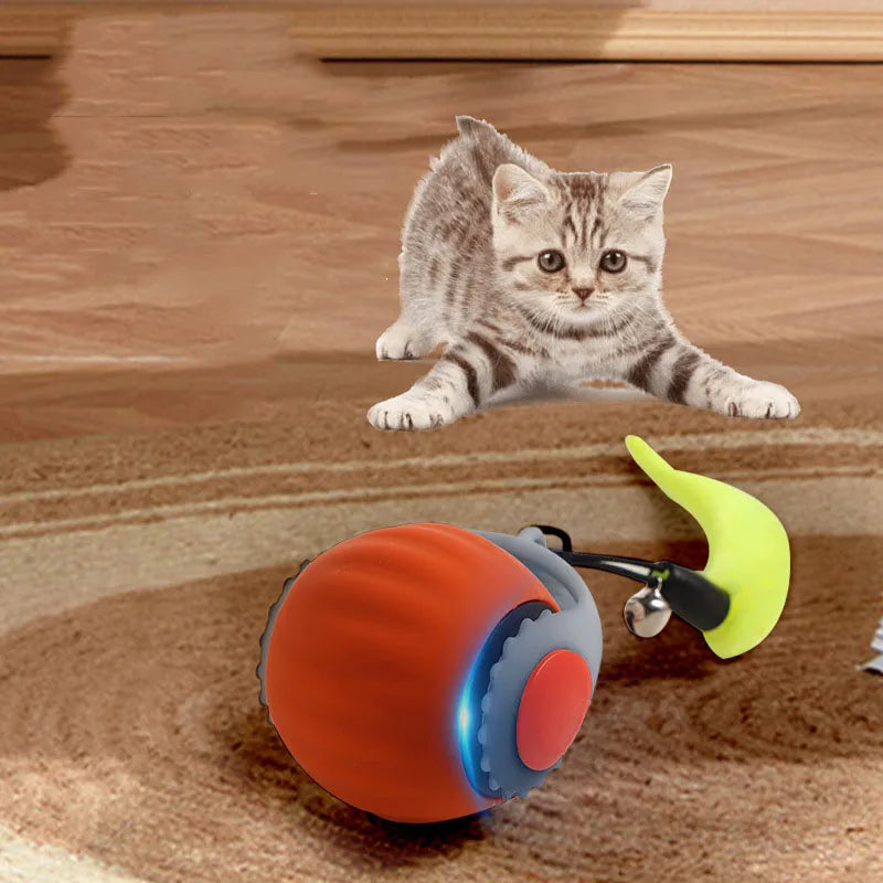 Pet smart cat ball