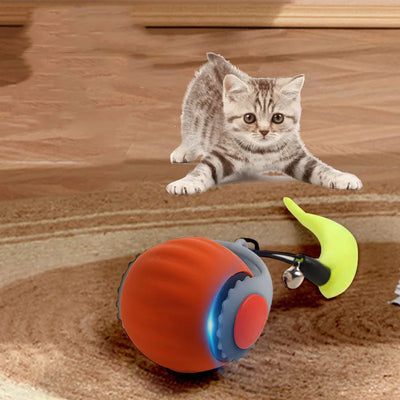 Pet smart cat ball
